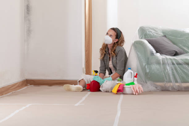 Trusted Mold Testing service in Denver, CO - WQB Mold Removal